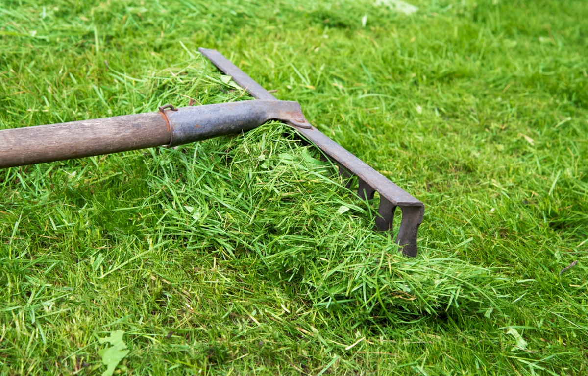 8 modi per smaltire l'erba tagliata