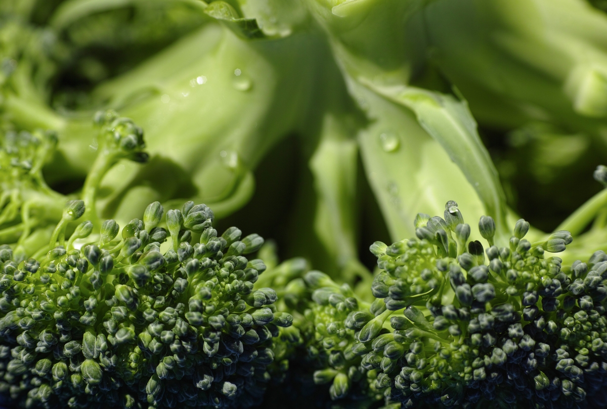 Come coltivare i broccoli in vaso