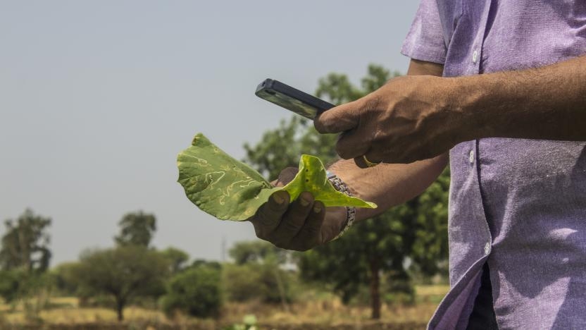 7 app per riconoscere le malattie delle piante