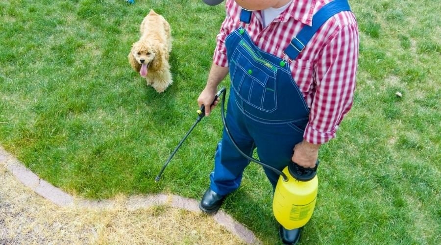 I diserbanti sono pericolosi per cani e gatti