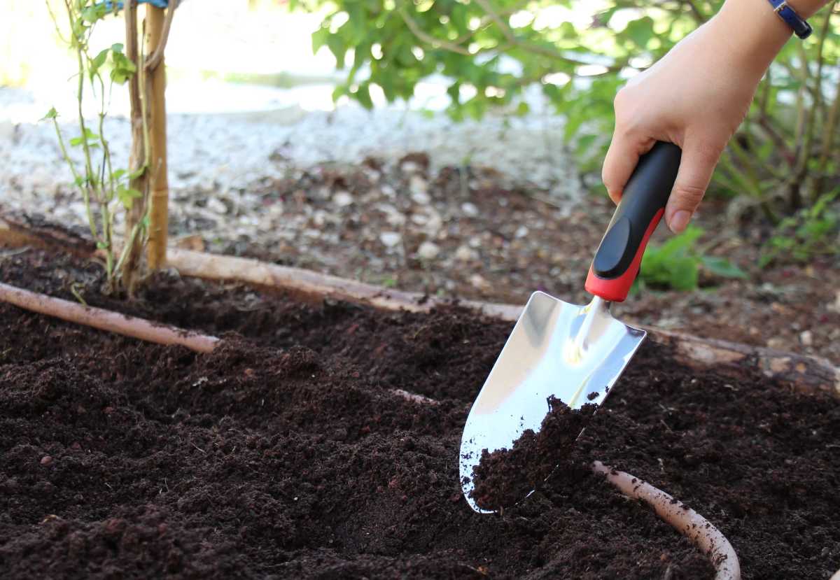Zappa Da Giardino, Zappa Per Diserbo, Diserbante Esterno Estrai Radici - 10