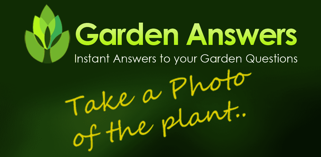 Riconoscere piante gratis - GardenAnswers