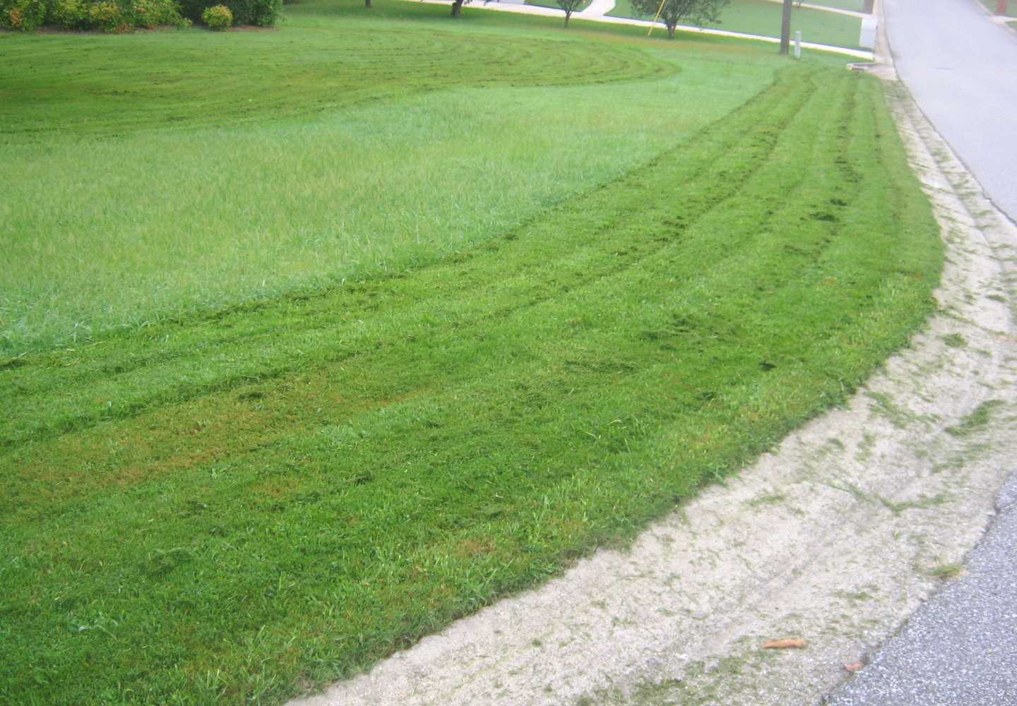 Copertura Per Decespugliatore In Acciaio Al Manganese – Antischizzo, 32,5 Cm, Facile Da Installare