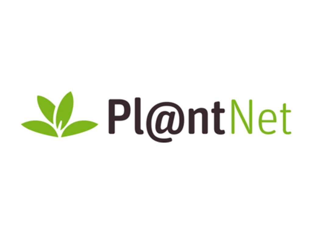 Riconoscere piante gratis - PlantNet